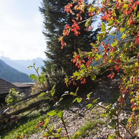 Garni Alpenspitz B&B Racines Exterior photo