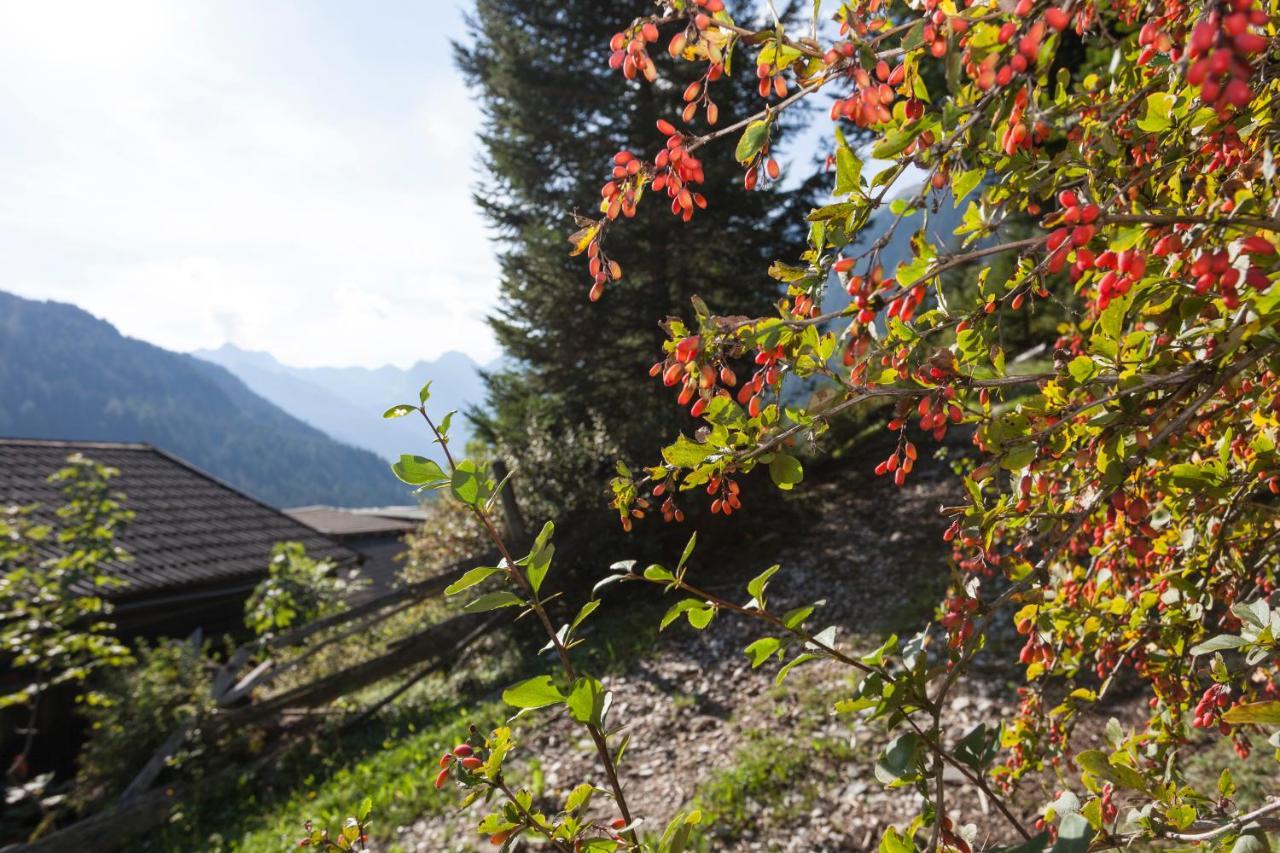 Garni Alpenspitz B&B Racines Exterior photo