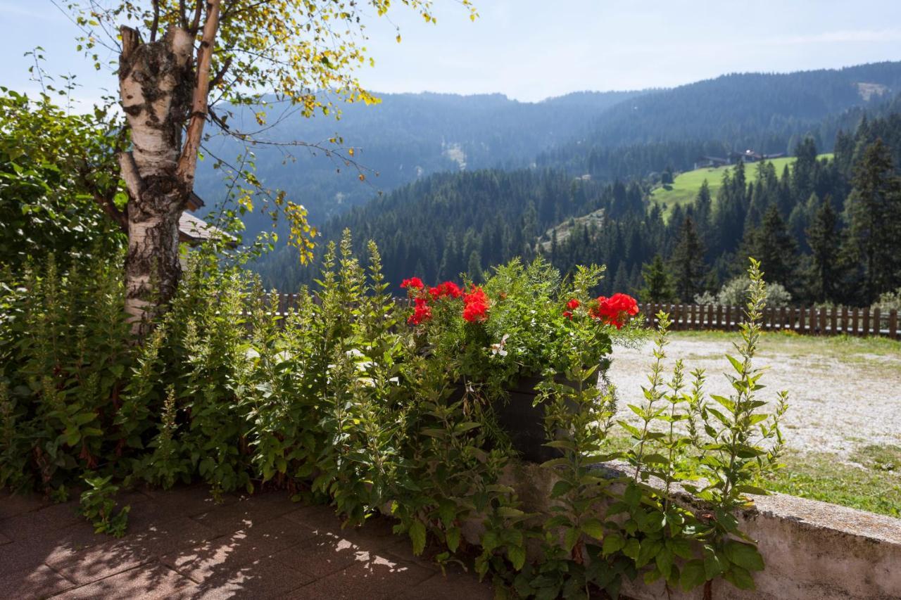 Garni Alpenspitz B&B Racines Exterior photo