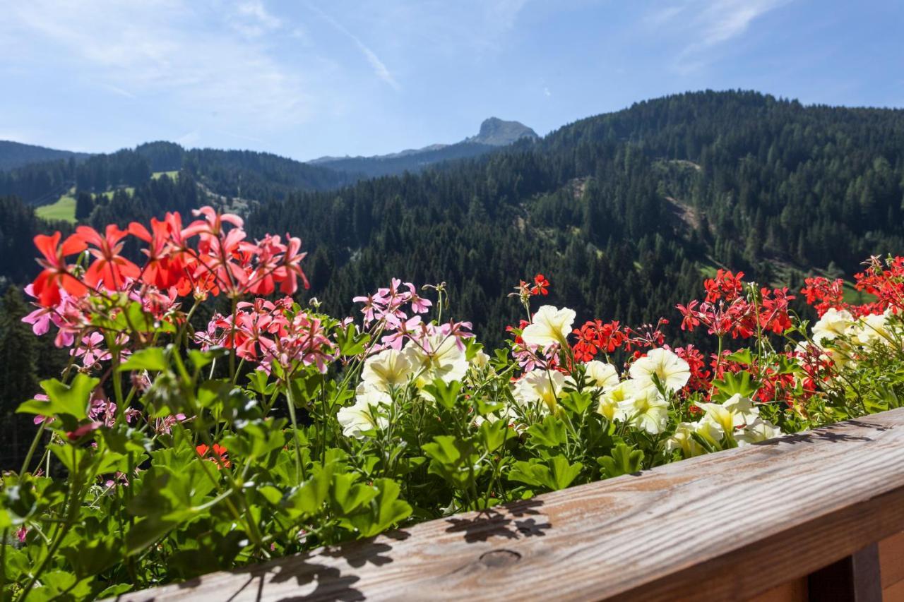 Garni Alpenspitz B&B Racines Exterior photo