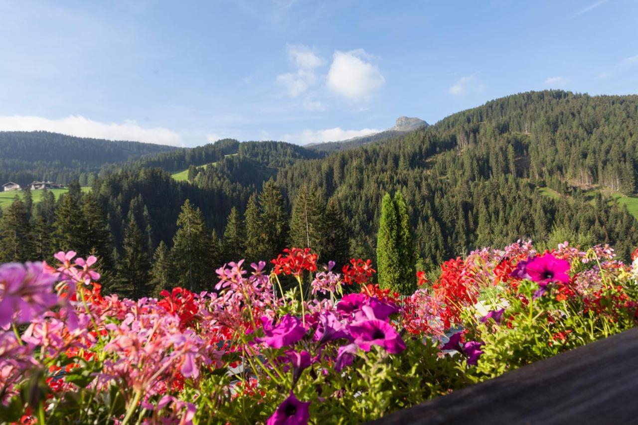 Garni Alpenspitz B&B Racines Exterior photo
